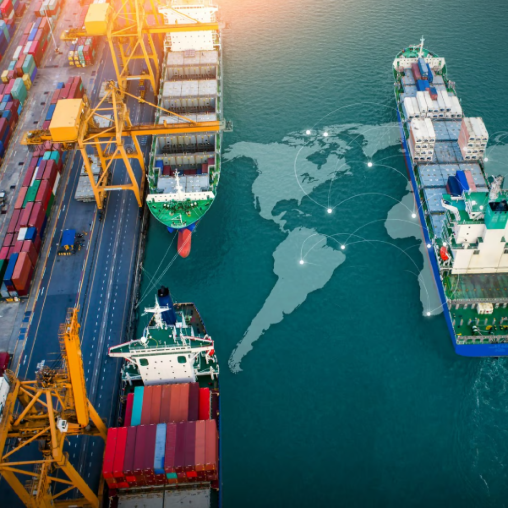 image_2025-03-19_105253136